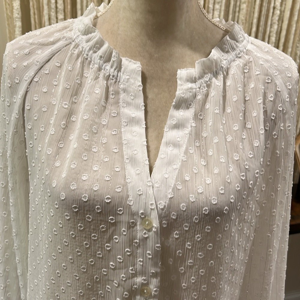 Feminine/Classy VERY Sheer - Picture 3 of 12